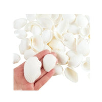 100 Floating White Seashells-White Coral Reef-Pearls-Vivid Aqua Sea Color Gels-Fills 4 Med Size Vases-With Exclusive Measured Floating Gels Prep Bag-Option of 3 Submersible Fairy Lights Strings